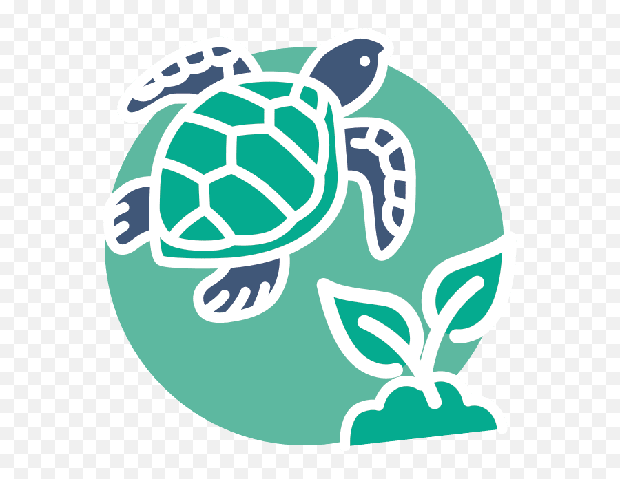 Environment - Sea Animal Chalk Png,Biodiversity Icon