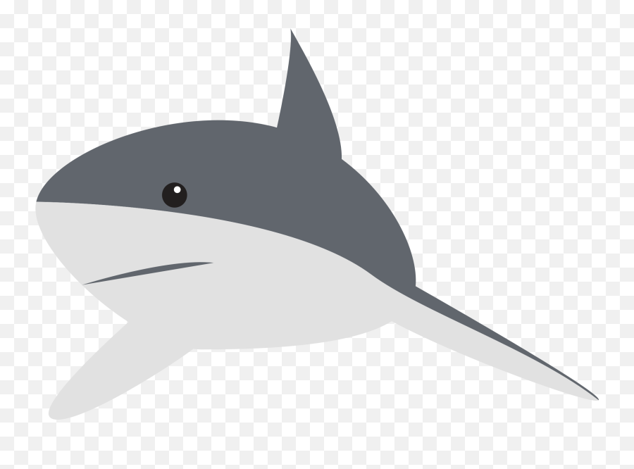 Download Clipart Shark Reef - Gray Reef Shark Clipart Png,Shark Clipart Transparent Background