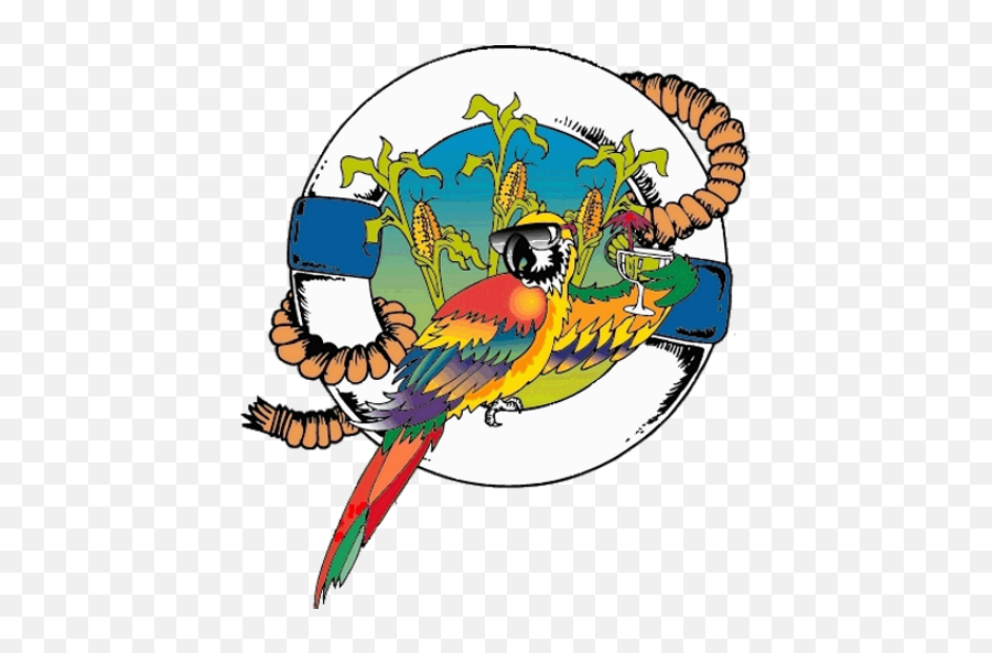 About Us - Parrot Head Png,Macaw Icon