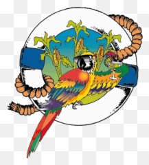 About Us - Parrot Head png