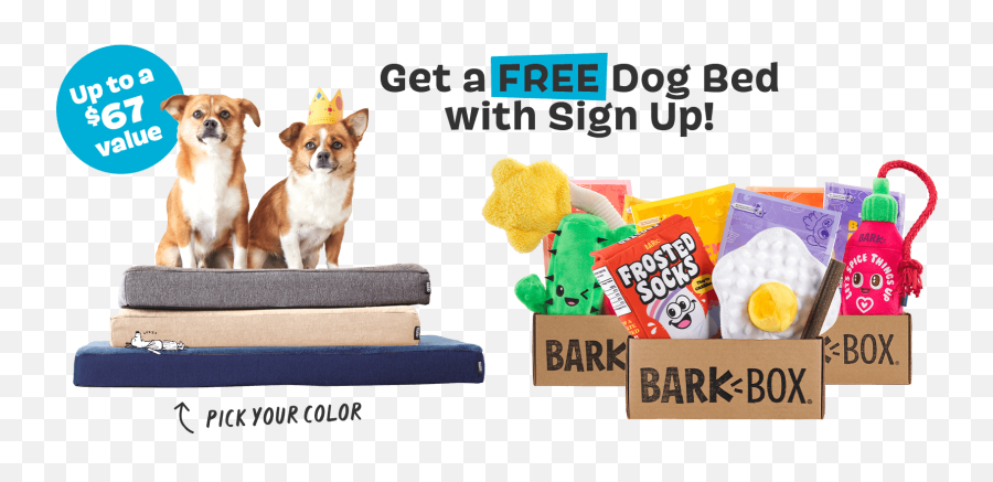 Barkbox - The Monthly Dog Toy And Treat Box Dog Bed Png,Mystery Mini Icon Box Lol