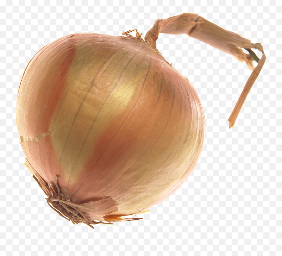 Onion Png Image - Onions No Background,Onion Png