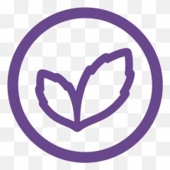 Nevo Liquid Supplements - Language png