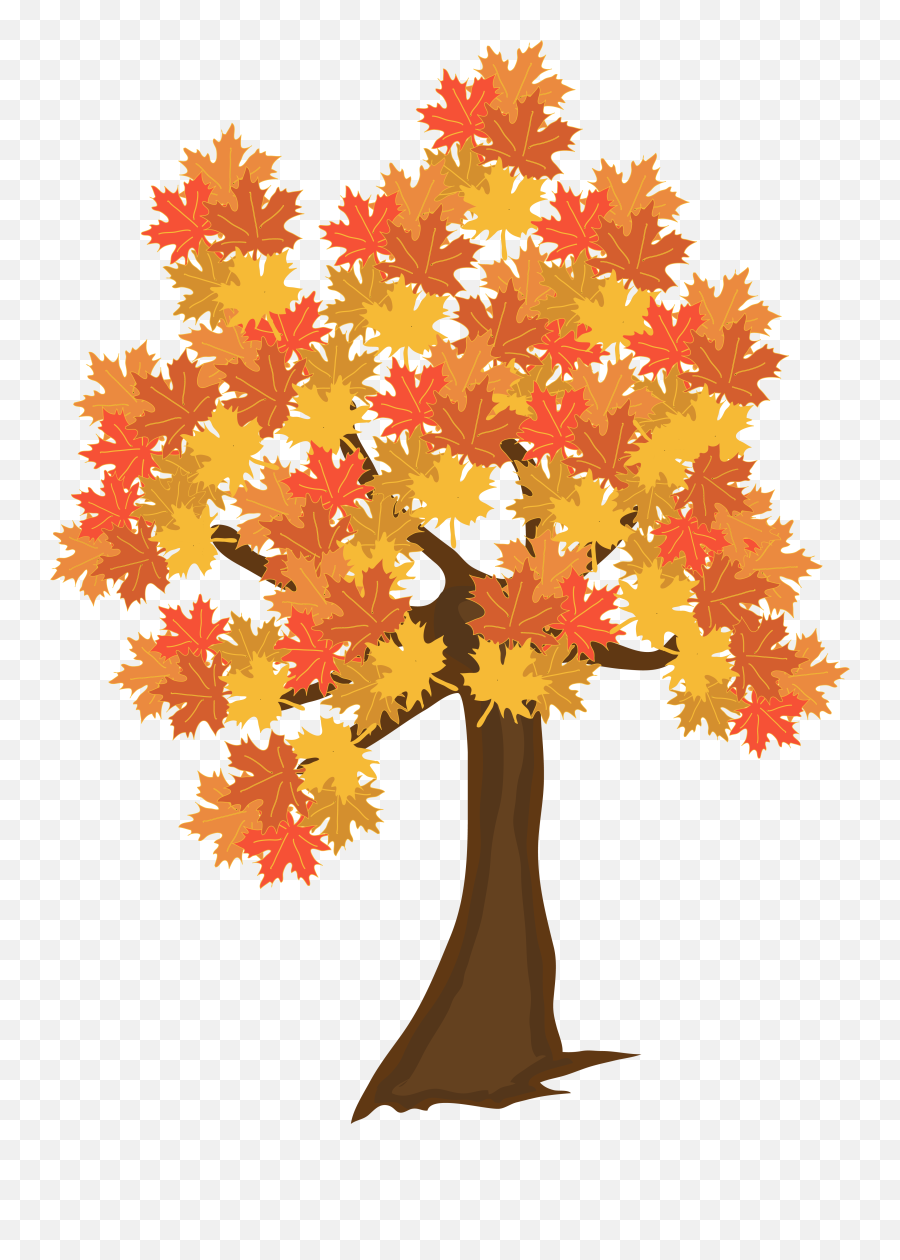 Free Png Autumn Trees - Konfest,Fall Trees Png
