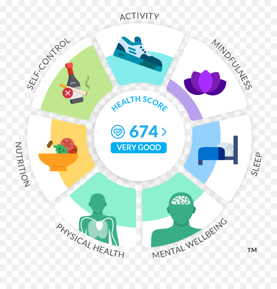 Digital Health Engagement Platform Risk Quantification - Dacadoo Health Score Png,Healthy Life Icon