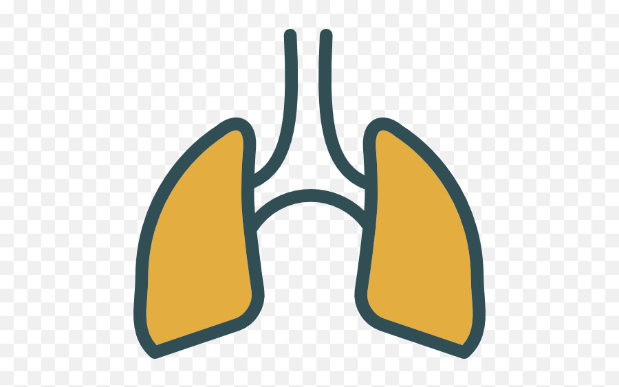 Free Icon Lungs - Alterações Radiologicas No Covid 19 Png,Lung Icon