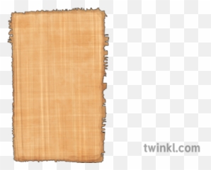 Egyptian Papyrus Illustration - Twinkl Egyptian Papyrus Template Ks2 Png,Papyrus Png