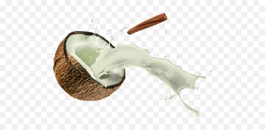 Coquito Papiu0027s - Snow Png,Coconut Png