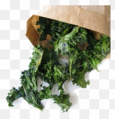 Bunch Kale - Kale Chips Png,Kale Png