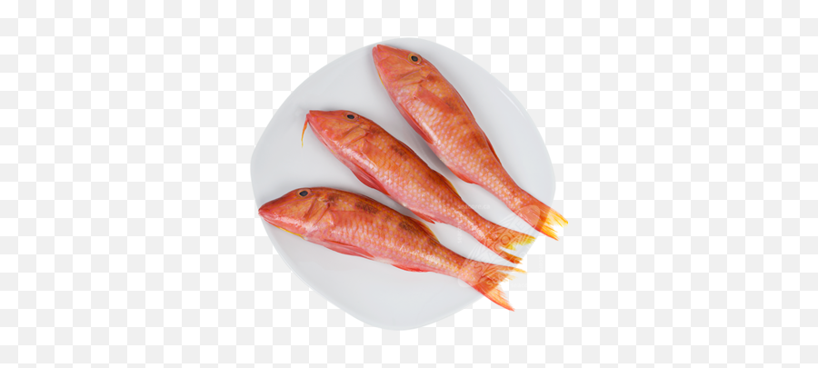 Frozen Red Mullet - Red Mullet Fish Png,Mullet Png