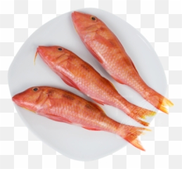 Frozen Red Mullet - Red Mullet Fish Png,Mullet Png