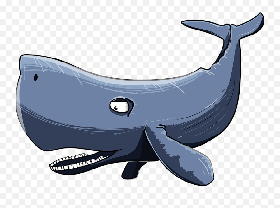 Whale Simple Cartoon Transparent Png - Sperm Whale Cartoon Drawing,Whale Clipart Png