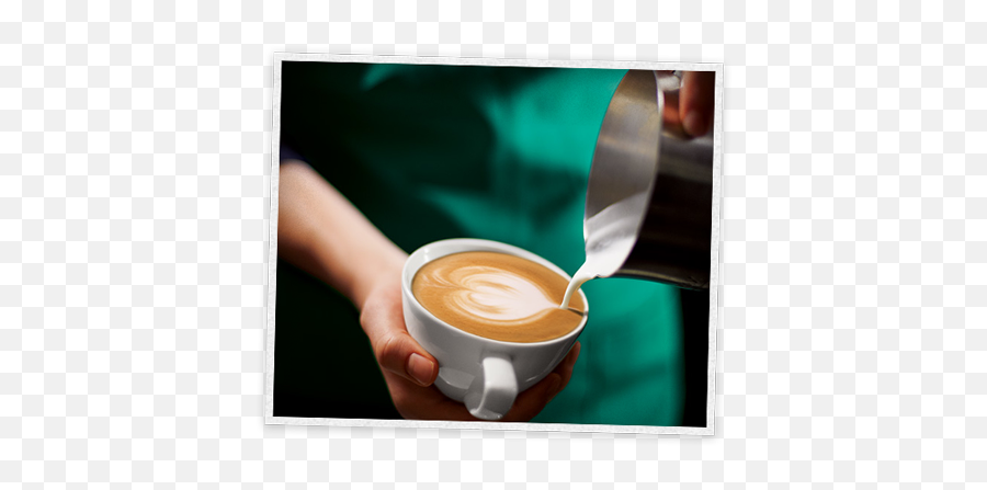 Starbucks Coffee Company - Starbucks La Taza De Cafe Perfecta Png,Starbucks Coffee Cup Png