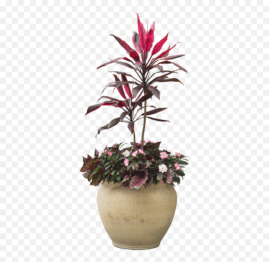 Indoor Plant Potted Plants Png Download - Flower Transparent Potted Plants,House Plant Png