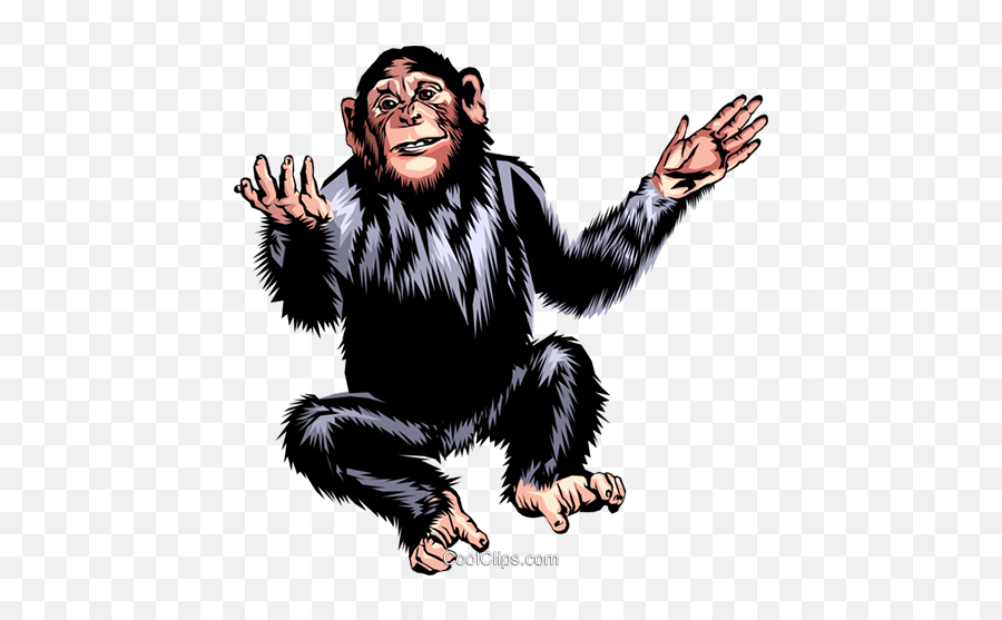 Chimpanzee Royalty Free Vector Clip Art Illustration - Animal Png,Chimp Png