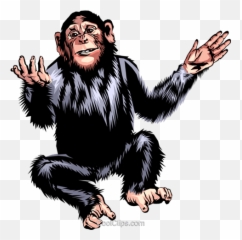 Chimpanzee Royalty Free Vector Clip Art Illustration - Animal Png,Chimp Png