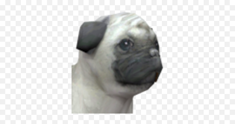 Pug - Nintendogs Pug Png,Pug Png