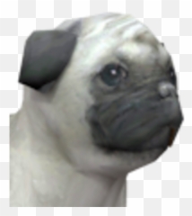 Pug - Nintendogs Pug Png,Pug Png
