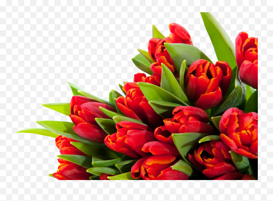 Bouquet Flowers Png - Flower Bouquet,Spring Flowers Png