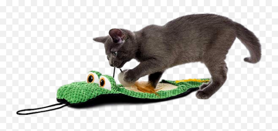 Hartz Gator Scratch Pad Cat Toy - Cat Toy Png,Scratch Cat Png