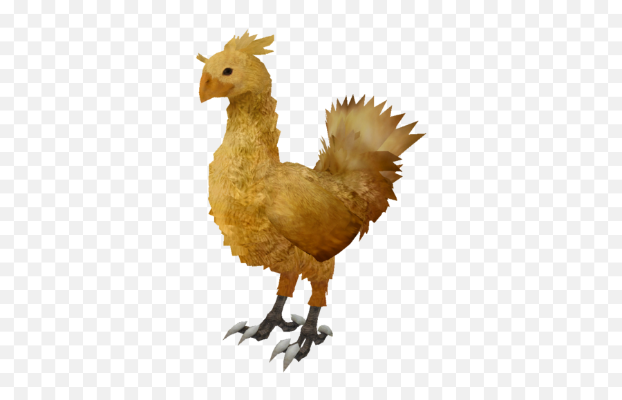 Chocobo - Chocobo Final Fantasy 13 Png,Chocobo Png