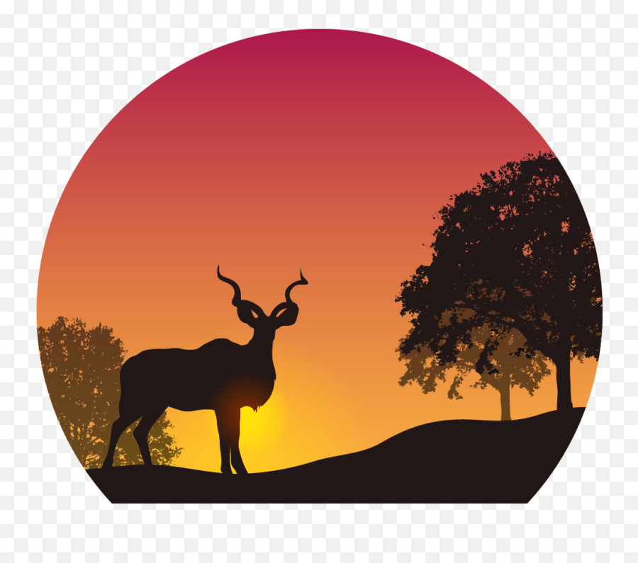 Download Sunset Png Image For Free - Kudu Deer Silhouette,Sunset Png