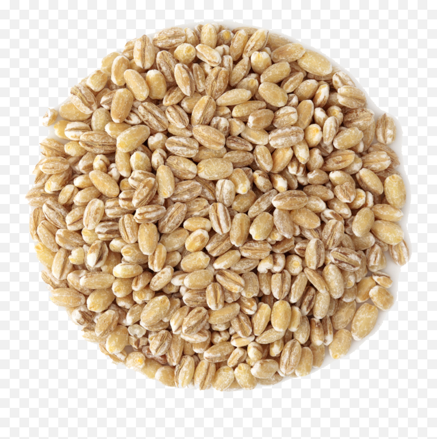 Download Small Pile Of Grain - Cereal Png,Grains Png