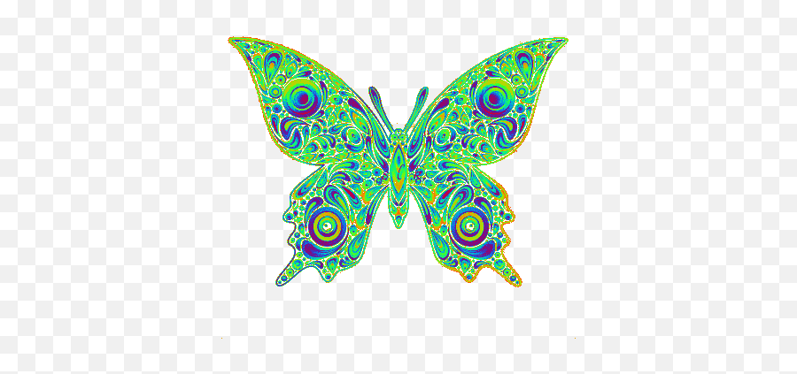 Top Butterflie Stickers For Android U0026 Ios Gfycat - Psychedelic Butterfly Gif Png,Butterfly Gif Transparent