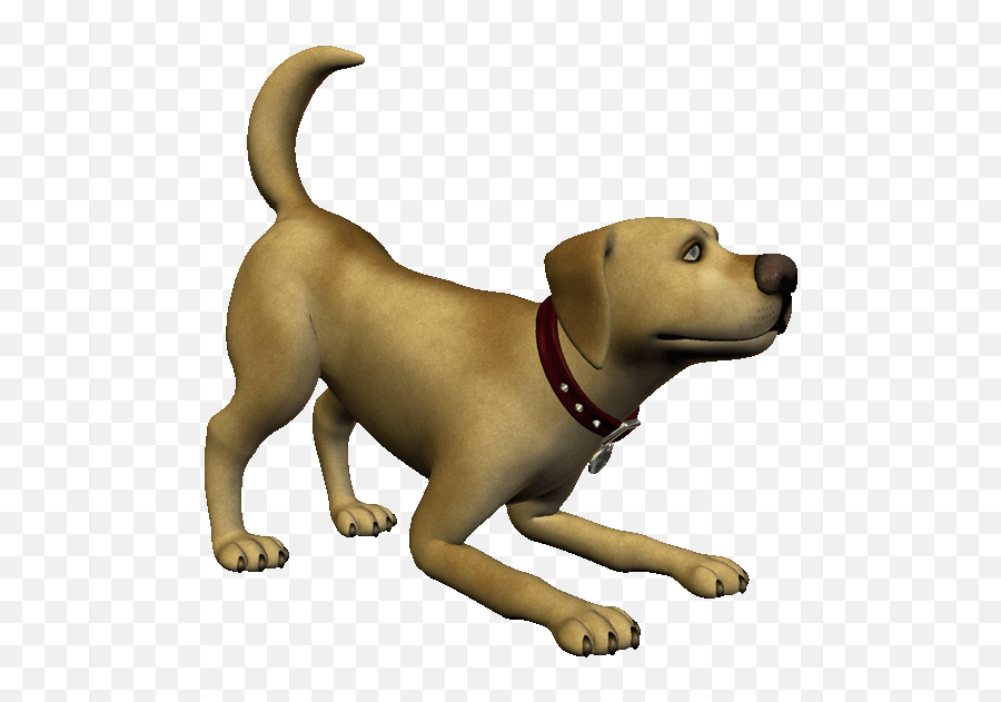 Golden Retriever Animation Gif Image Bark - Golden Retriever Transparent Background Dog Gif Clipart Png,Doge Face Png