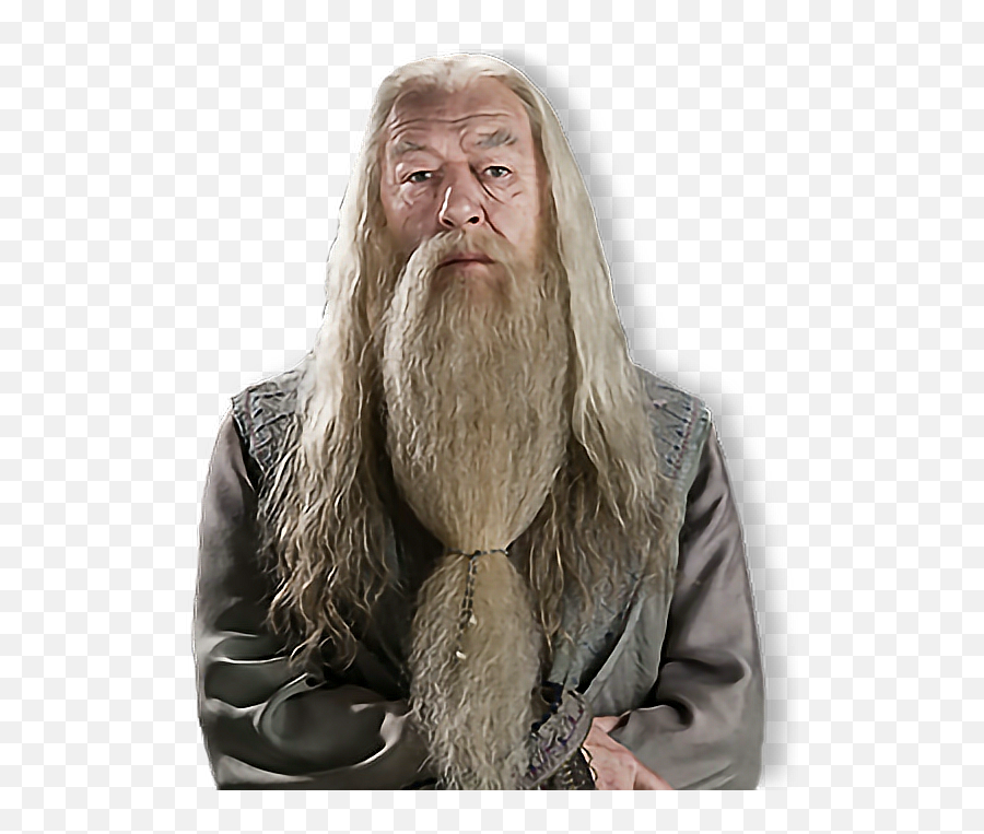 Albus Percival Wulfric Brian Dumbledore - Albus Percival Wulfric Brian Dumbledore Png,Dumbledore Png