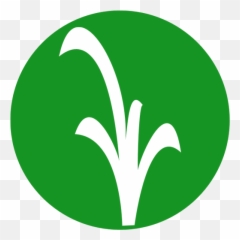 Llseedsca - Language png