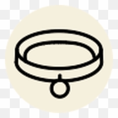 Shop - Dog Supplies Collars Leashes u0026 Harnesses Page Para Gato Dibujo png