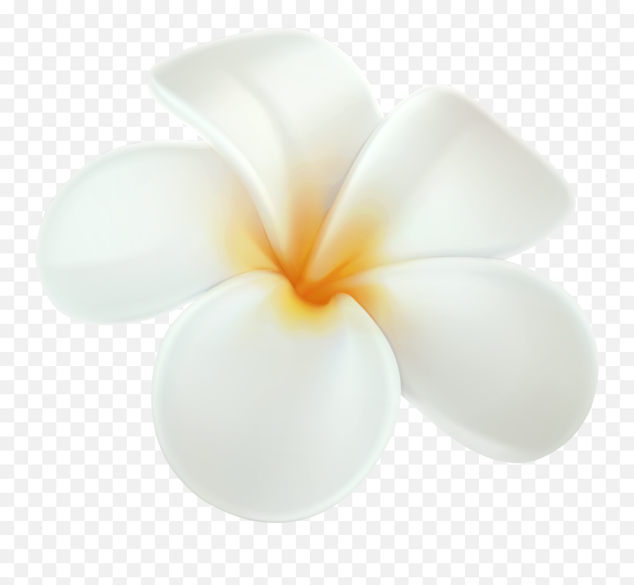Plumeria Png Clip Art - Plumeria Clipart Png,Hawaiian Flowers Png