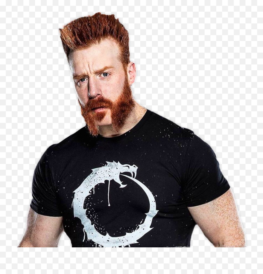 Sheamus Fella Broguekick Thebar Sheamusrender Wwe Rende - Sheamus Render 2020 Png,Sheamus Png