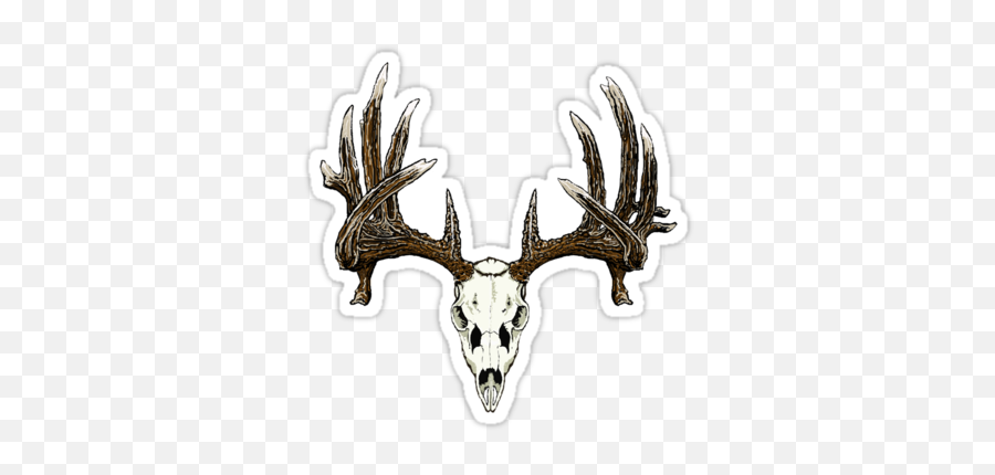 Whitetail Deer Skull Stickers By - Deer Skull Pillow Case Black And White Png,Deer Skull Png