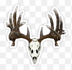 Whitetail Deer Skull Stickers By - Pillow Case Black And png