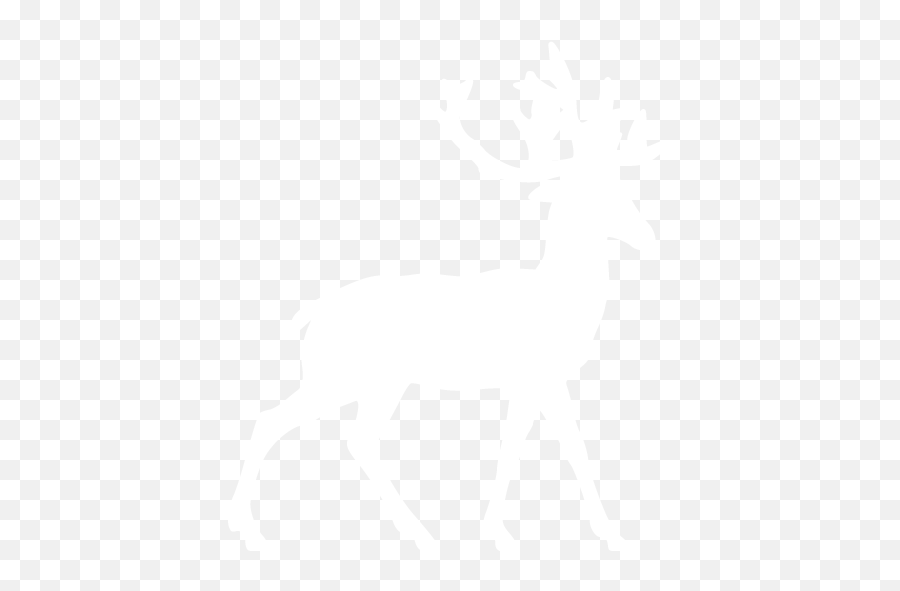 Head Deer logo with round shape Dear logo... - Stock Illustration  [61530368] - PIXTA