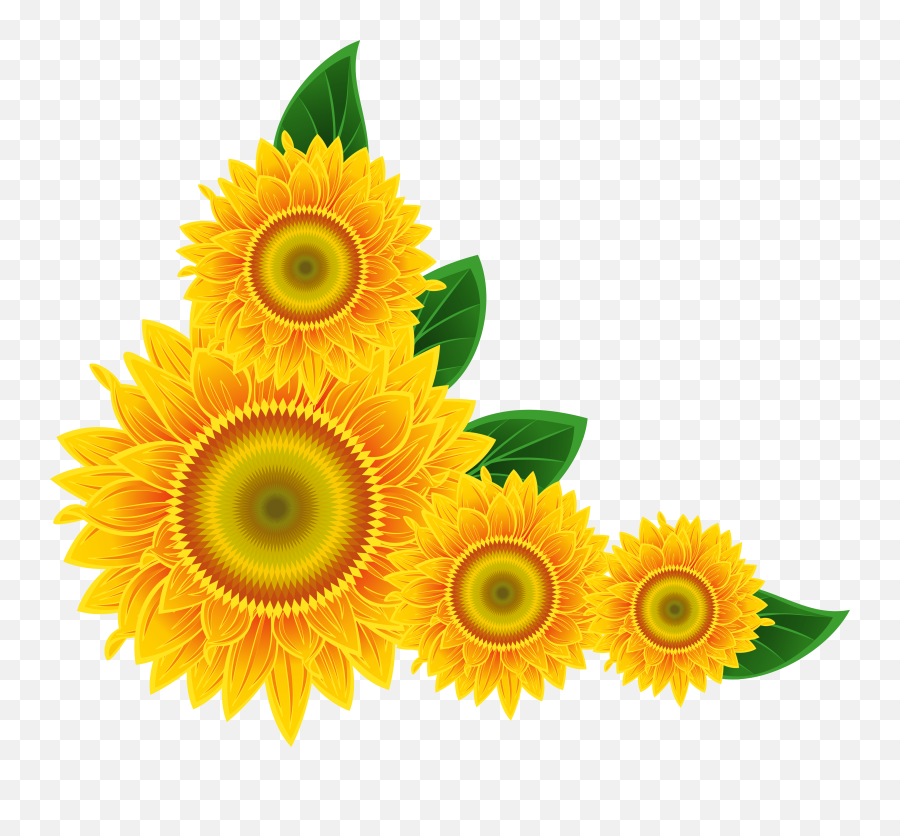 Free Sunflower Border Png Download - Sunflower Corner Png,Sun Flower Png