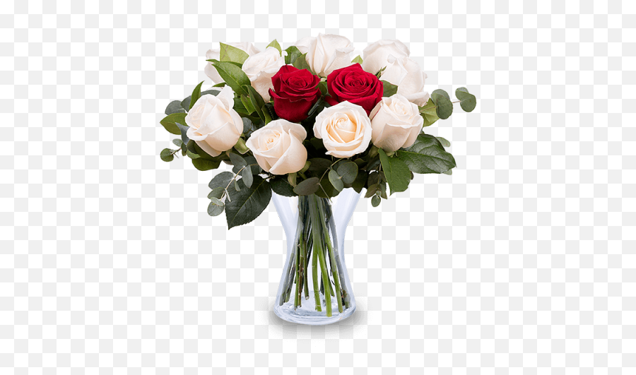 Red And White Roses Chocolates Vase Teddy Bear - Red And White Roses In A Vase Png,White Roses Png