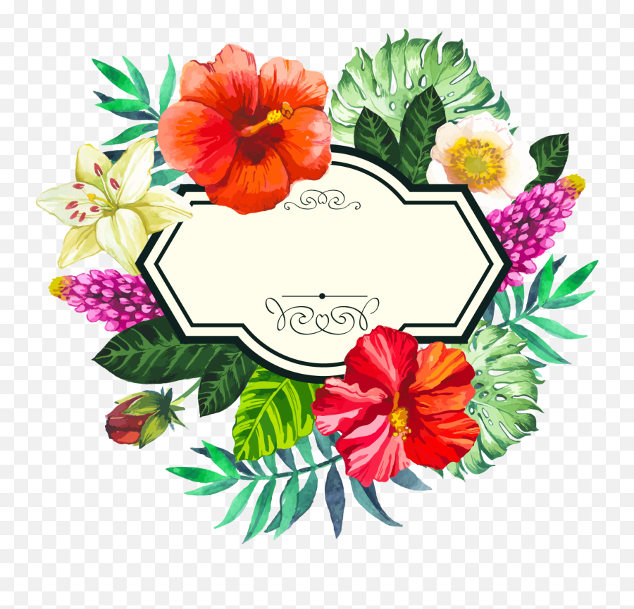 Picture Flower Painted Frame Hand - Tropical Flowers Vector Png,Tropical Png