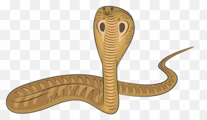 King Cobra Clipart - Snake png