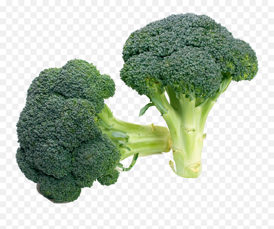 Free Broccoli Transparent Download Clip Art - Broccoli Cabbage Carrot Png,Brocolli Png