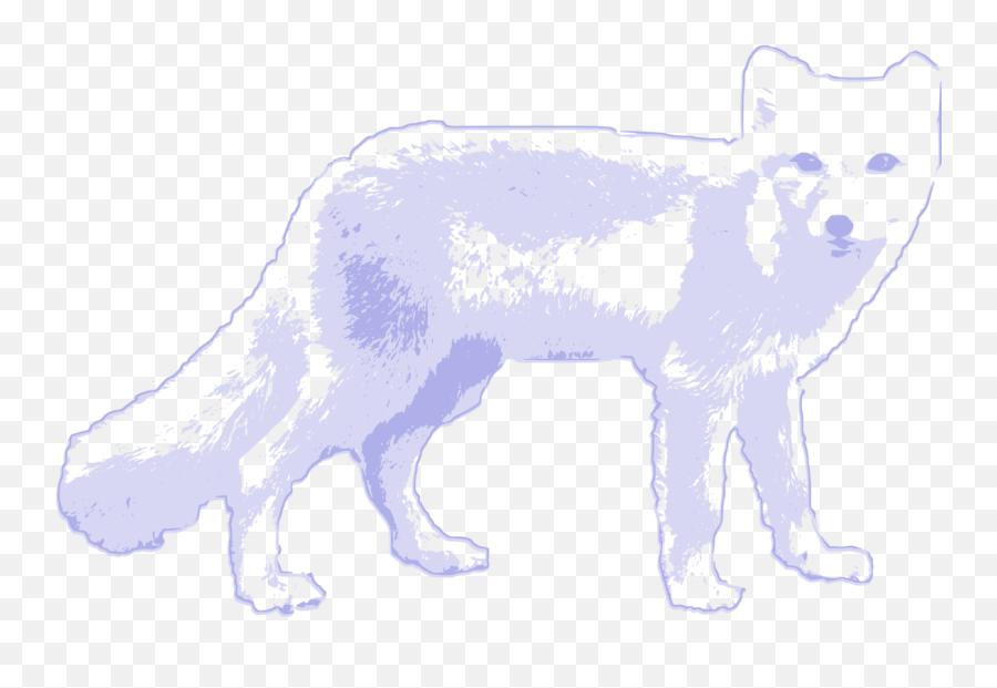 Line Art Wildlife Small To Medium Sized - Arctic Wolf Arctic Fox Clipart Png,Fox Clipart Png