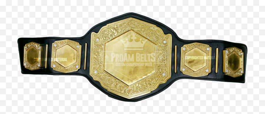 Vicious Dc Heavy Gold Championship Belt - Championship Belt Blank Png,Championship Belt Png