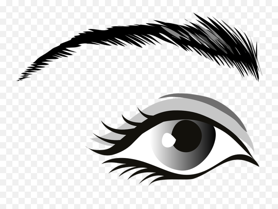 Eye Gray Eyes Eyelid - Man Eye Clip Art Png,Eyebrows Png