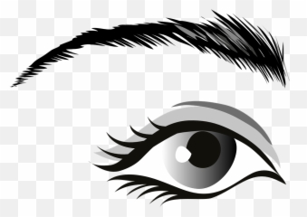 Eye Gray Eyes Eyelid - Man Clip Art png
