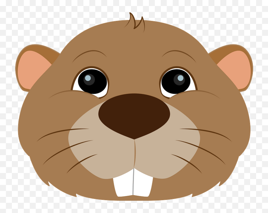 Beaver Face Clipart Free Download Transparent Png Creazilla - Beaver Face Clipart,Beaver Png