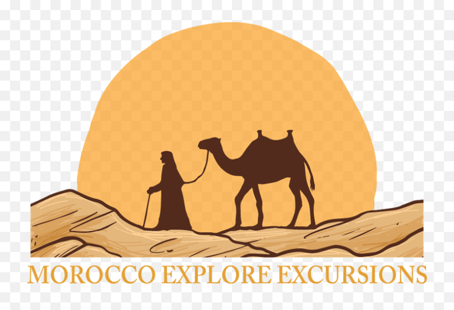 Download Hd Logo - Camel Drawing In Desert Transparent Png Camel Drawing In Desert,Desert Png