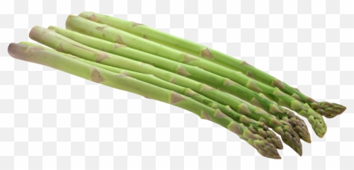 Asparagus Png Image - Transparent Background Asparagus Png,Asparagus Png