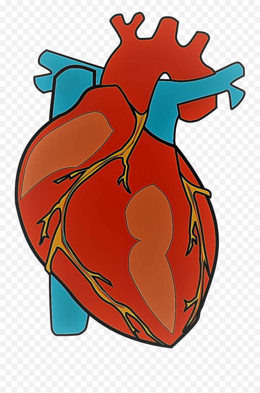 Human Heart Clipart Png Transparent - Heart Anatomy Png,Human Heart Png